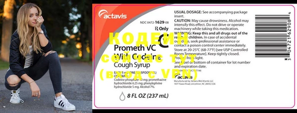 шишки Туринск