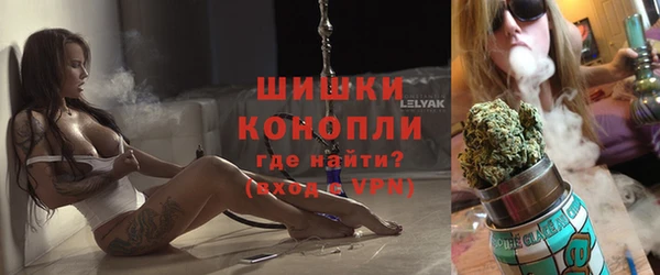 шишки Туринск