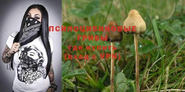 шишки Туринск