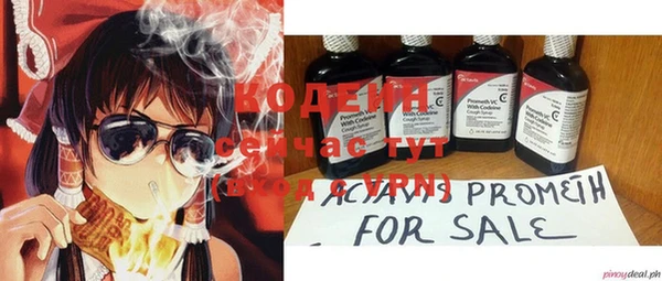 хмурый Тында