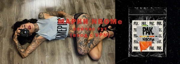 хмурый Тында